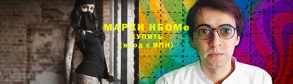 сатива Беломорск