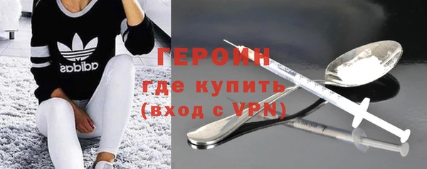 сатива Беломорск