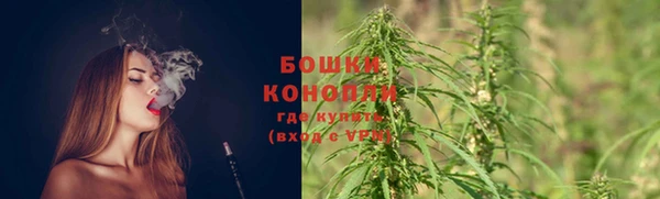 прущий лед Белокуриха
