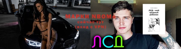 сатива Беломорск