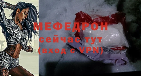 молекула духа Богородицк