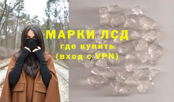 сатива Беломорск