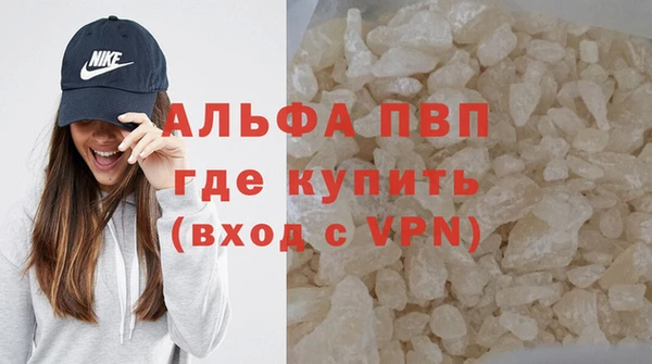 сатива Беломорск