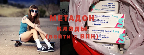 сатива Беломорск