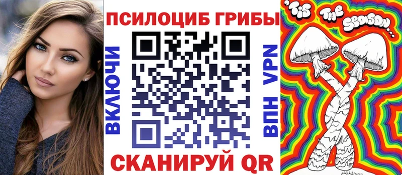 мега tor купить Гудермес Псилоцибиновые грибы Psilocybe