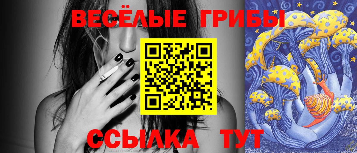 Гудермес  Галлюциногенные грибы Magic Shrooms  Вход с VPN 