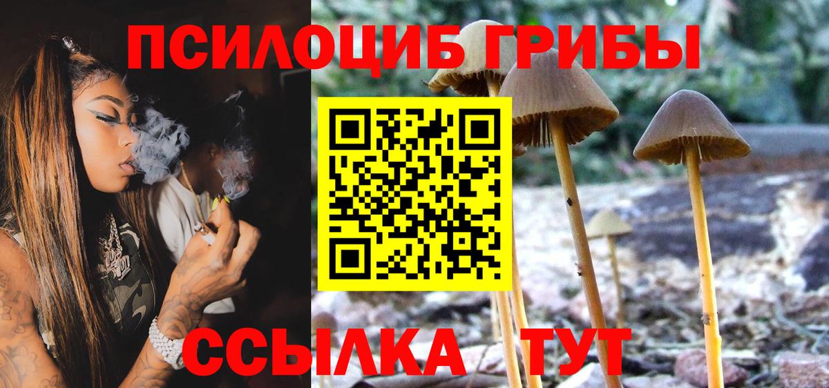 Псилоцибиновые грибы мицелий Гудермес