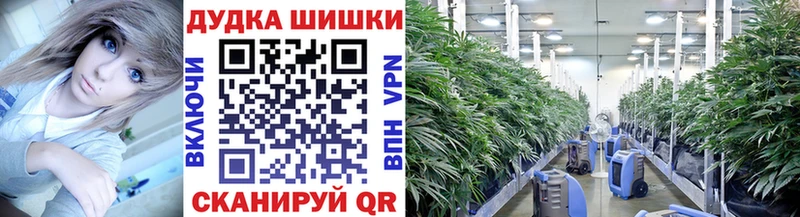 Бошки Шишки Ganja  Гудермес 